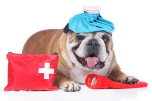 KONYA Acil Müdahaleler ve Acil Servis